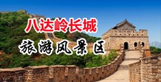 男人用鸡桶美女的逼免费网站大全中国北京-八达岭长城旅游风景区