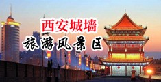 色色爱逼中国陕西-西安城墙旅游风景区