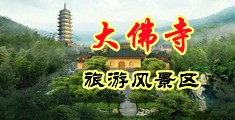 美女的嫩b中国浙江-新昌大佛寺旅游风景区